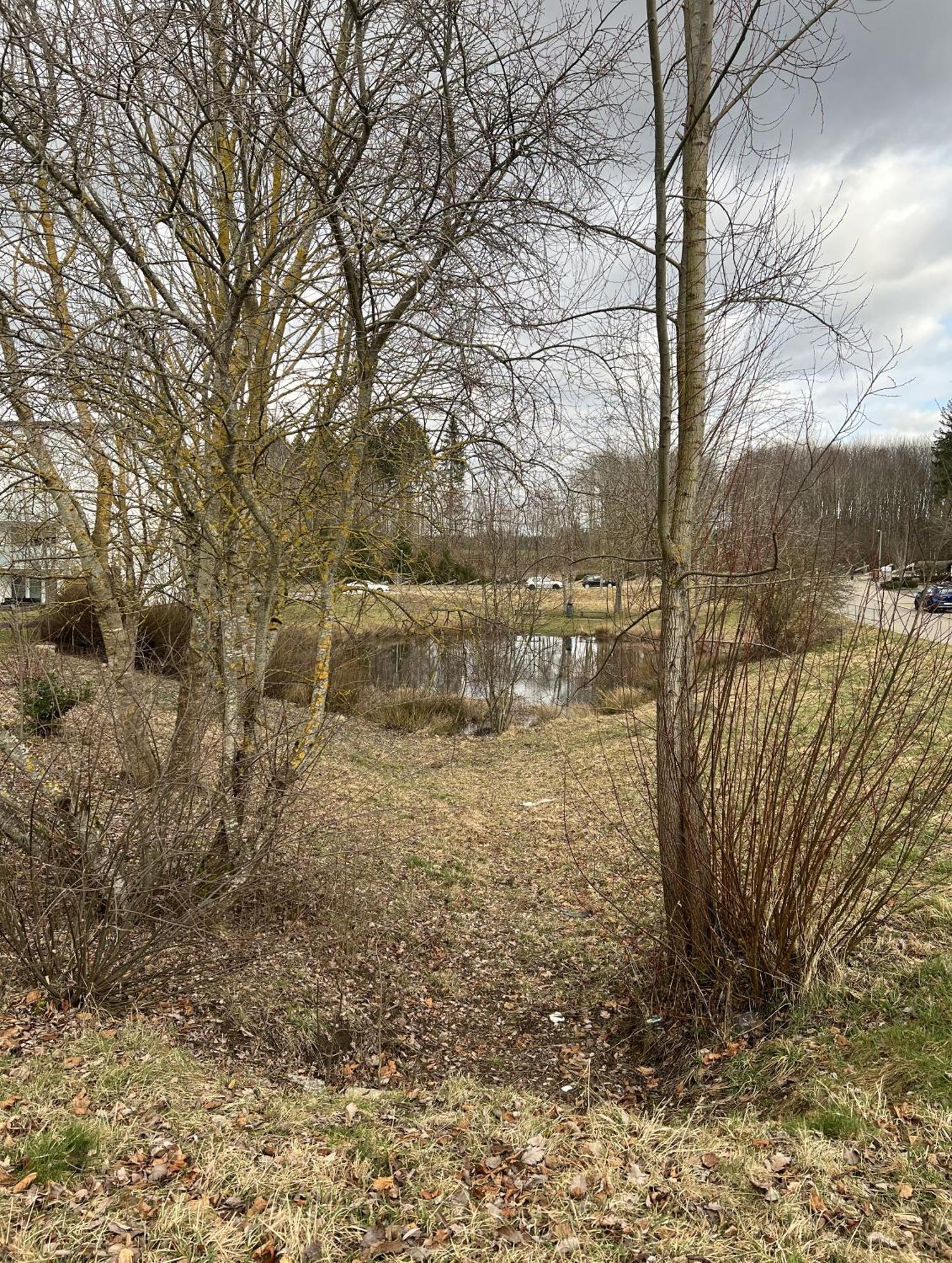 My Home N 35 Villingen-Schwenningen Esterno foto